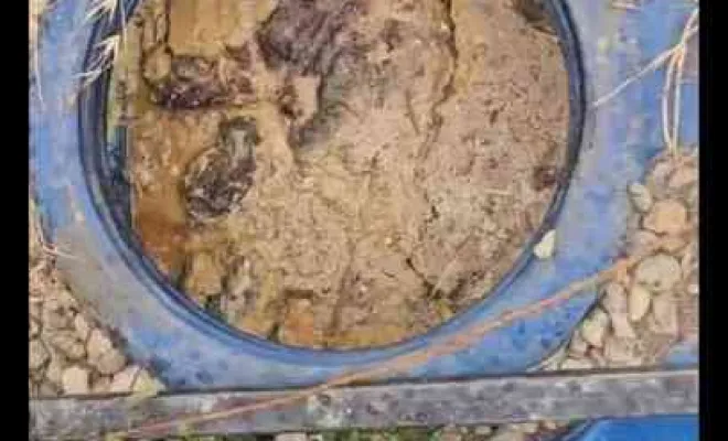 Diagnostic et entretien professionnel d’un bac à graisse à Calvi, Penta-Di-Casinca, TOUSSAINT ASSAINISSEMENT